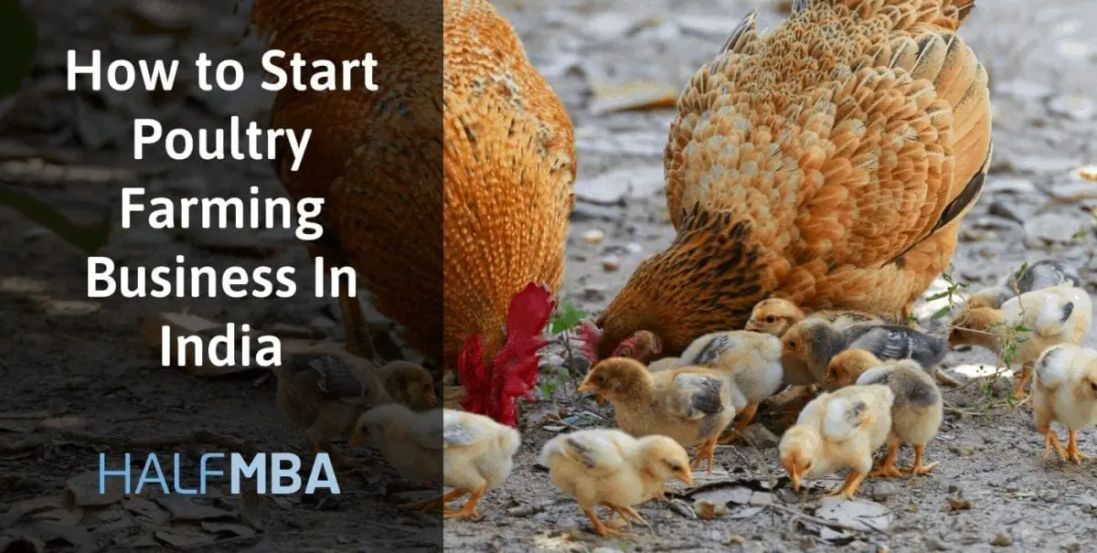 poultry farming business plan in india