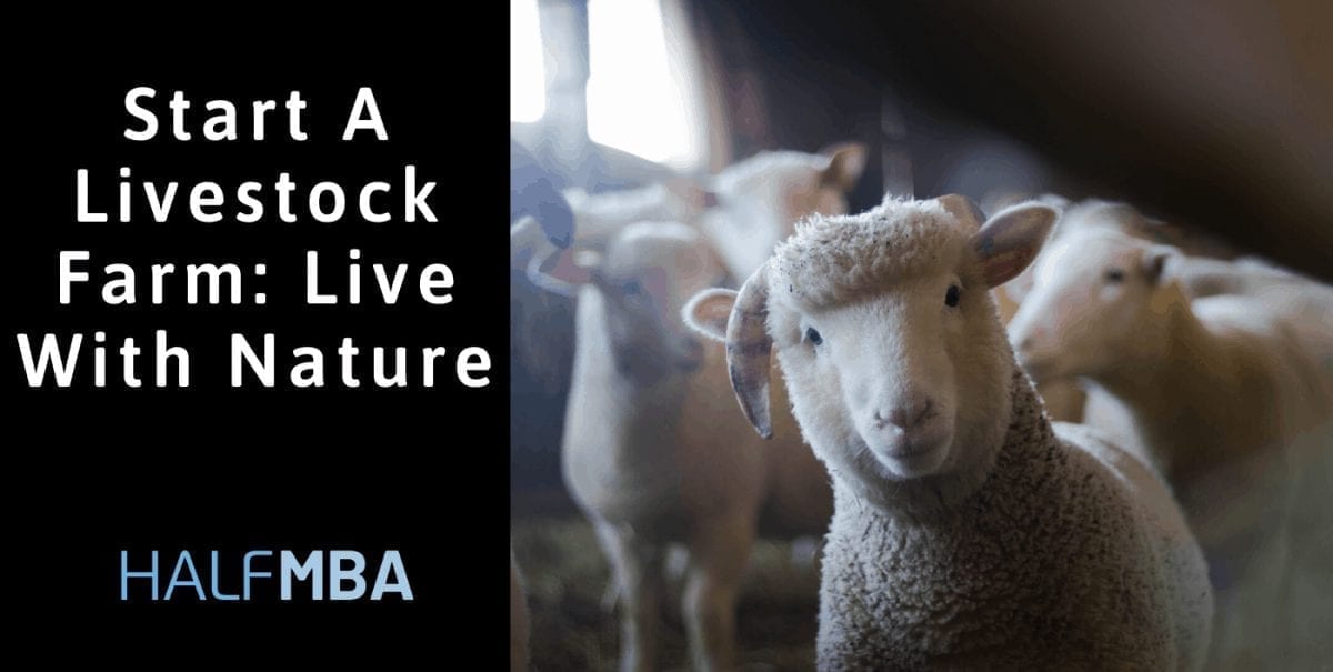 Start A Livestock Farm Live With Nature Half MBA
