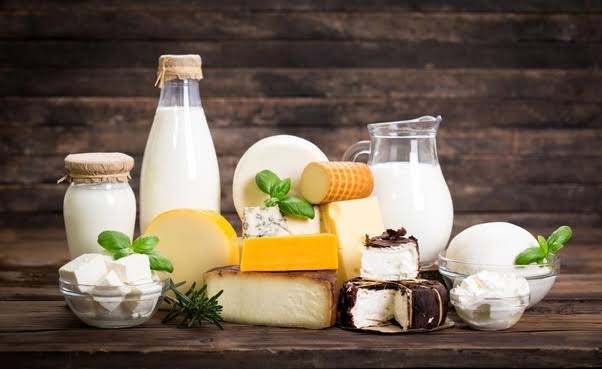 Homemade Dairy Products
